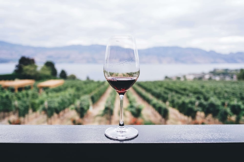 Wine glass with the winery in the background.