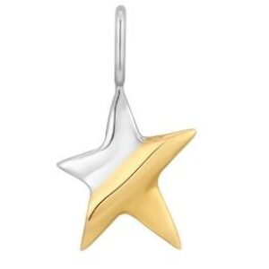 ANIA HAIE TWO TONE STAR NECKLACE CHARM NC048-07T