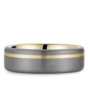 MEN'S TANTALUM AND YELLOW GOLD BAND RYL-202YT7-M10