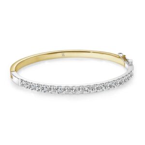 STAINLESS STEEL GOLD PLATED CZ BANGLE SWBG112-WY