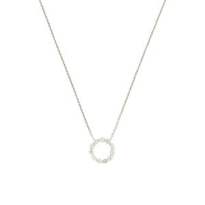WHITE GOLD DIAMOND CIRCLE NECKLACE WH1991D