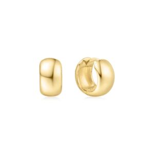 ANIA HAIE CHUBBY SMALL HUGGIE HOOP EARRINGS E064-04G